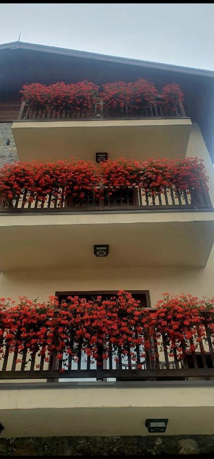 Apartmani Aleksandra Kolasin Exterior photo